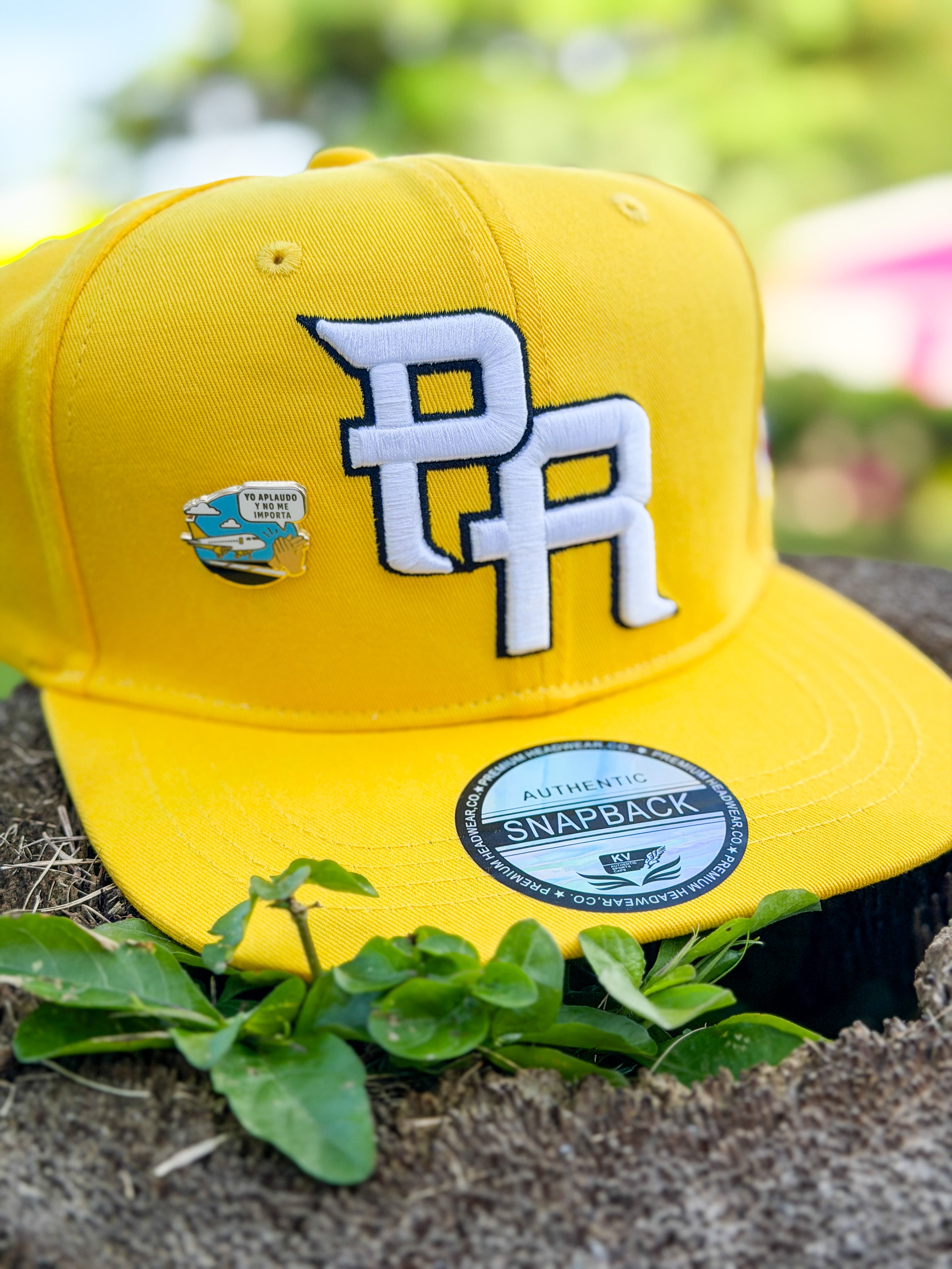 Yo Aplaudo y No Me Importa Cuando el Avión Aterriza